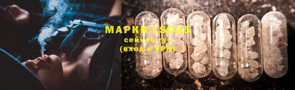 прущие крисы Приозерск