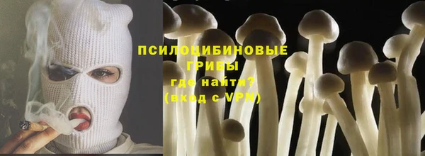 спайс Пролетарск