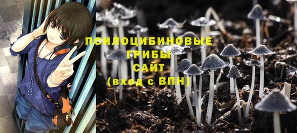 спайс Пролетарск