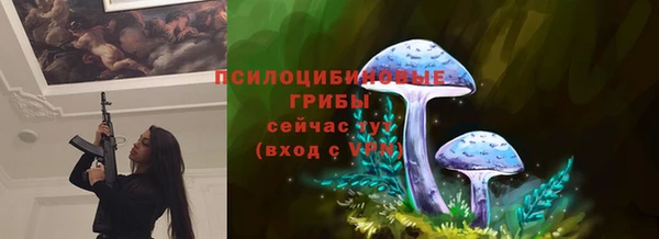 мдпв Горняк