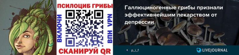 Псилоцибиновые грибы прущие грибы  Анива 